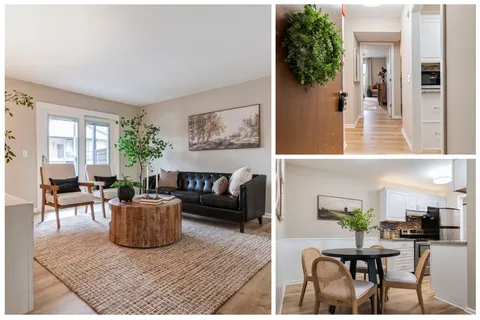 a living room with furniture and a potted plant