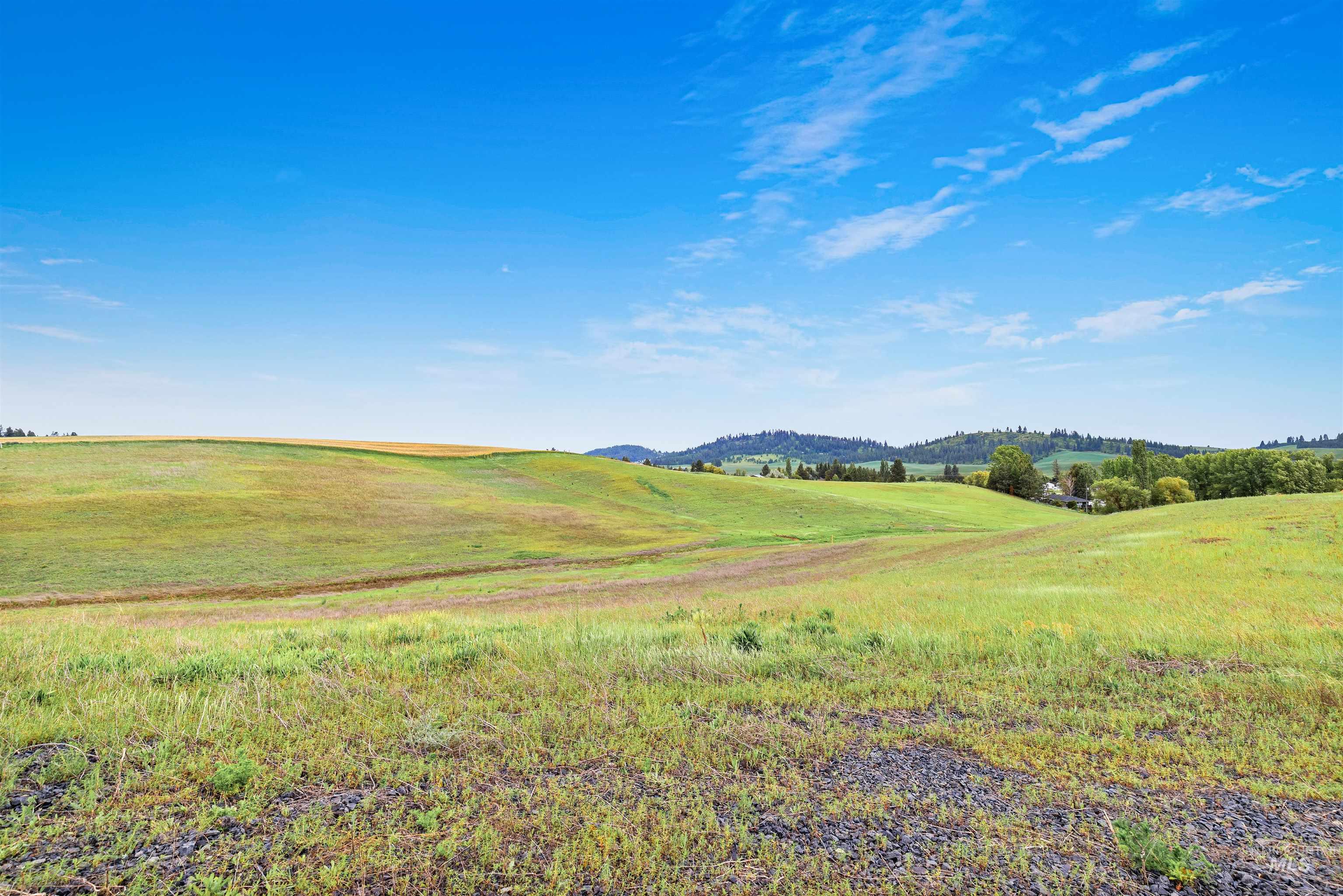 Tbd Reams Road Moscow, ID 83843 - Photo 14 of 20