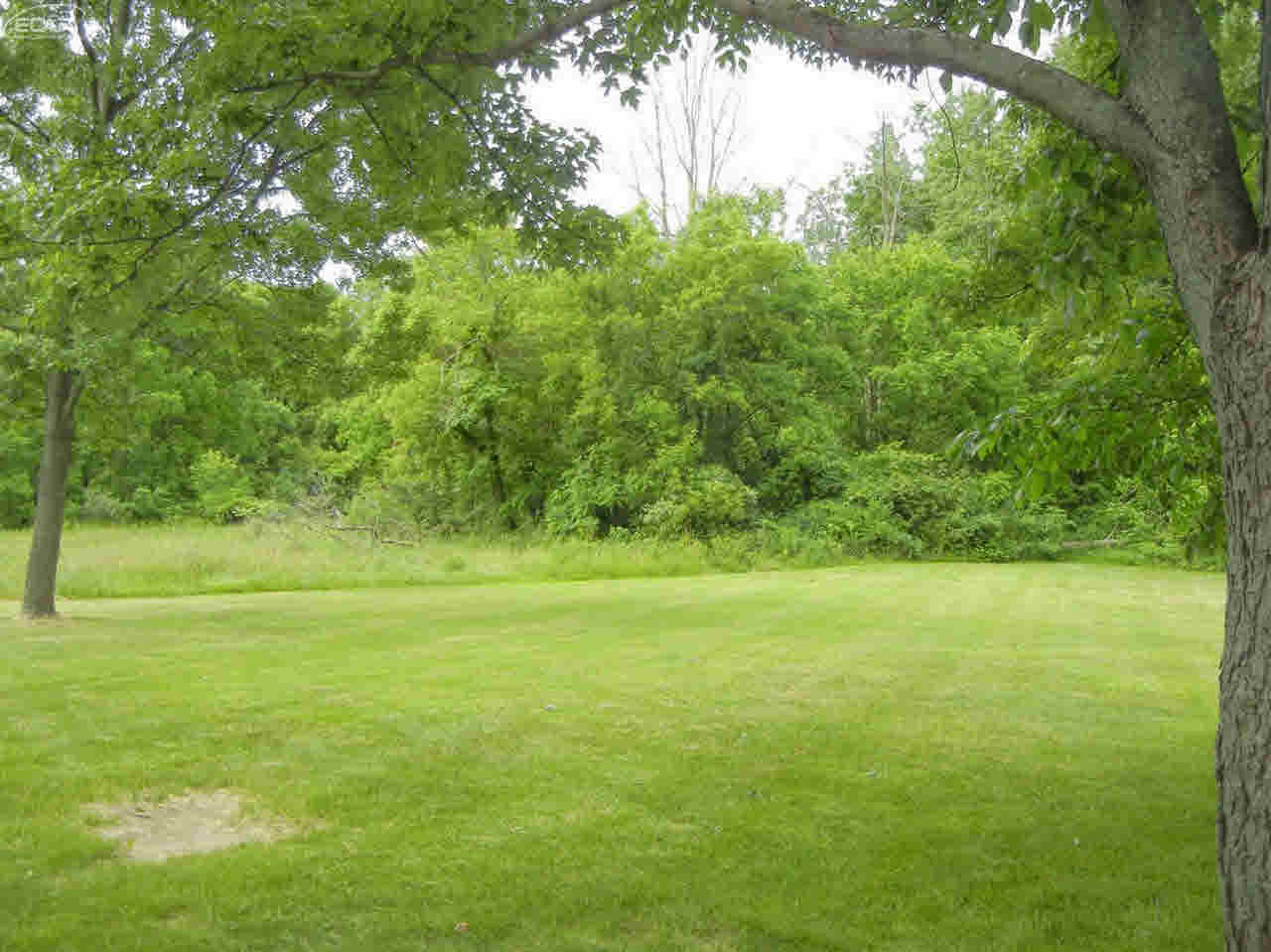 0 Summit Street Durand, MI 48429 - Photo 5 of 8