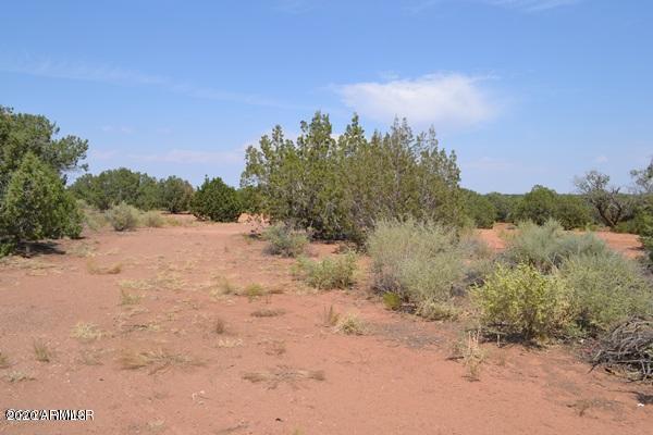 67 Old Hunt Road Concho, AZ 85924 - Photo 39 of 48 550D1935AAF62C91