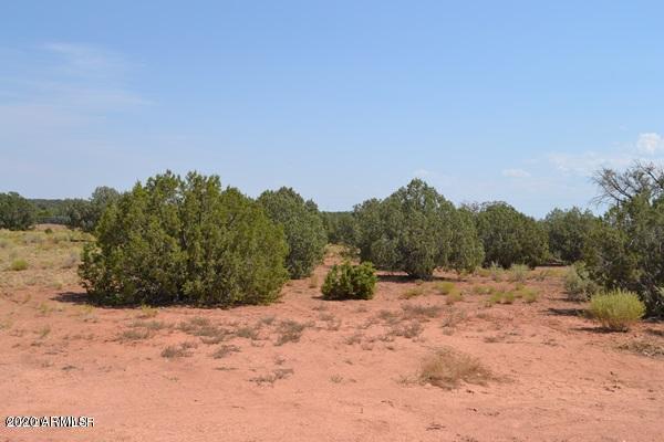 67 Old Hunt Road Concho, AZ 85924 - Photo 42 of 48 E7D27614FF73EE51