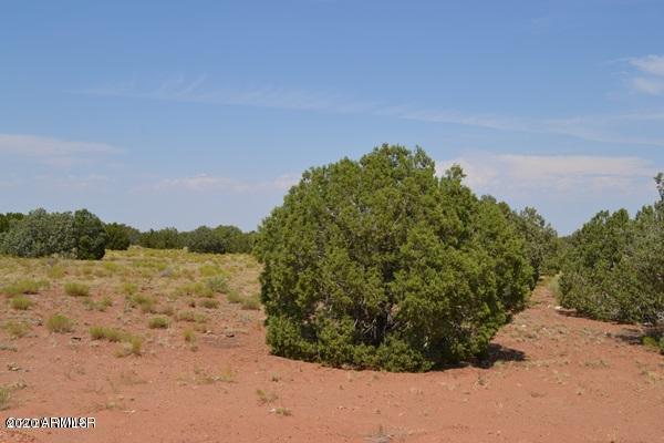 67 Old Hunt Road Concho, AZ 85924 - Photo 43 of 48 DDE2D252BD9C9DE1