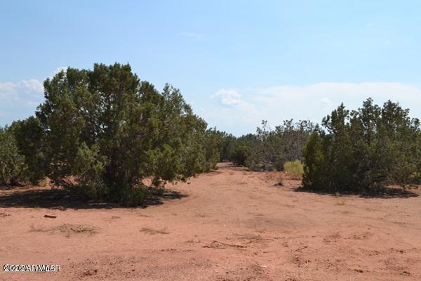 67 Old Hunt Road Concho, AZ 85924 - Photo 44 of 48 55D44A47BC67B2C1