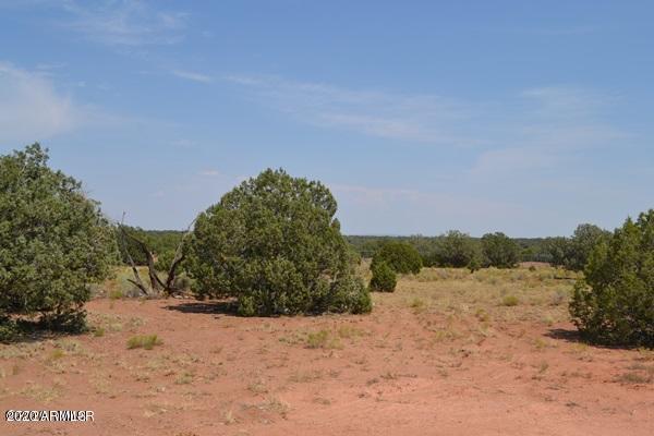 67 Old Hunt Road Concho, AZ 85924 - Photo 45 of 48 23C402A405091DF1