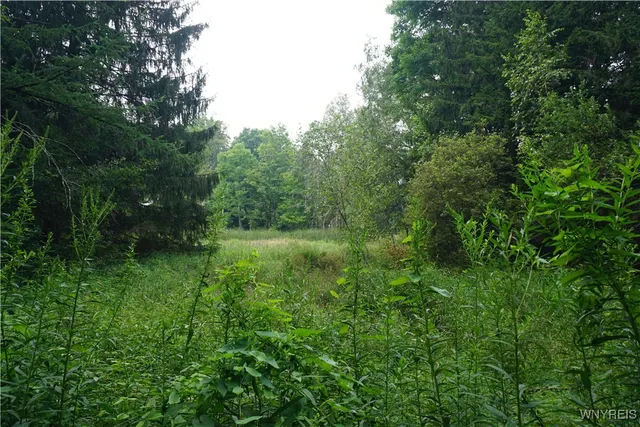 $85,000 | 12243 Sharp Road, Concord, NY 14141