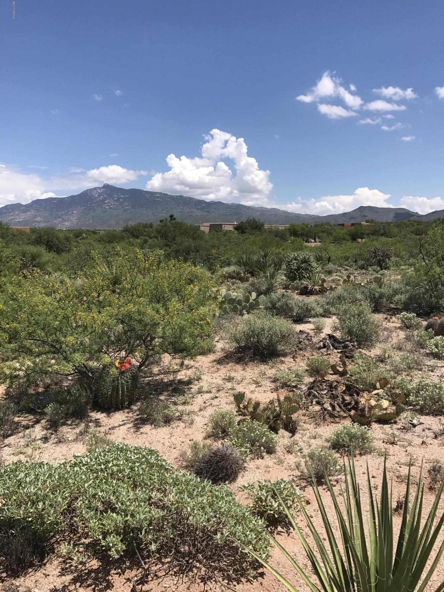 14751 East Triangle M Ranch Road, Unit L395 Vail, AZ 85641 - Photo 1 of 15