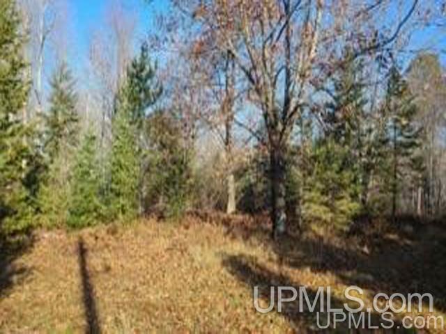 124 Soderena Road Crystal Falls, MI 49920 - Photo 17 of 23 Gallery Image 17