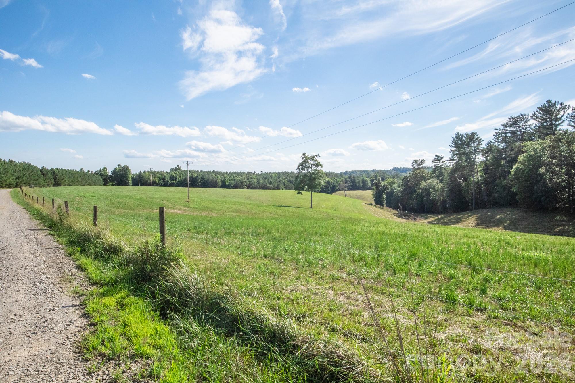 1779 Roundhill Church Road Traphill, NC 28685 - Photo 20 of 42