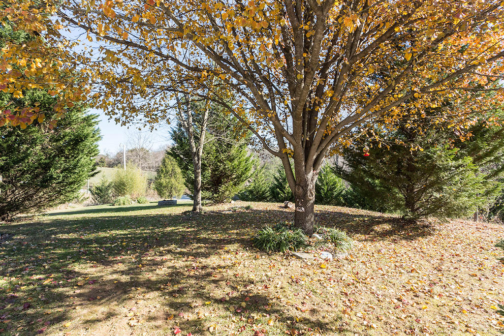 101 Crest Court Blue Ridge, VA 24064 - Photo 24 of 35 a view of a yard with a tree