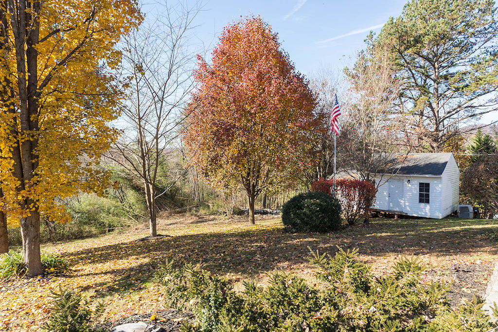 101 Crest Court Blue Ridge, VA 24064 - Photo 28 of 35 a view of a yard with a tree