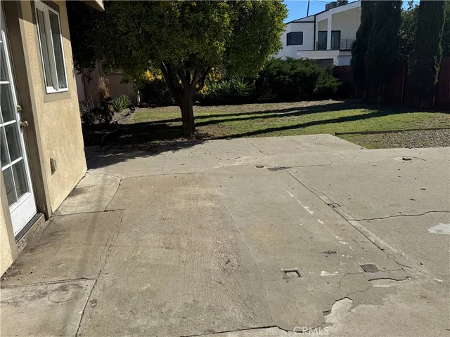 a view of backyard and tree
