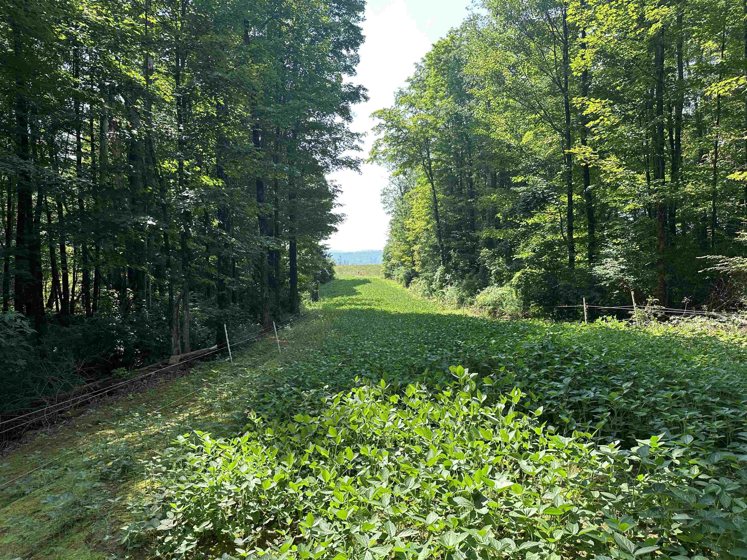 220 Gloria Avenue Rutland, VT 05701 - Photo 4 of 9