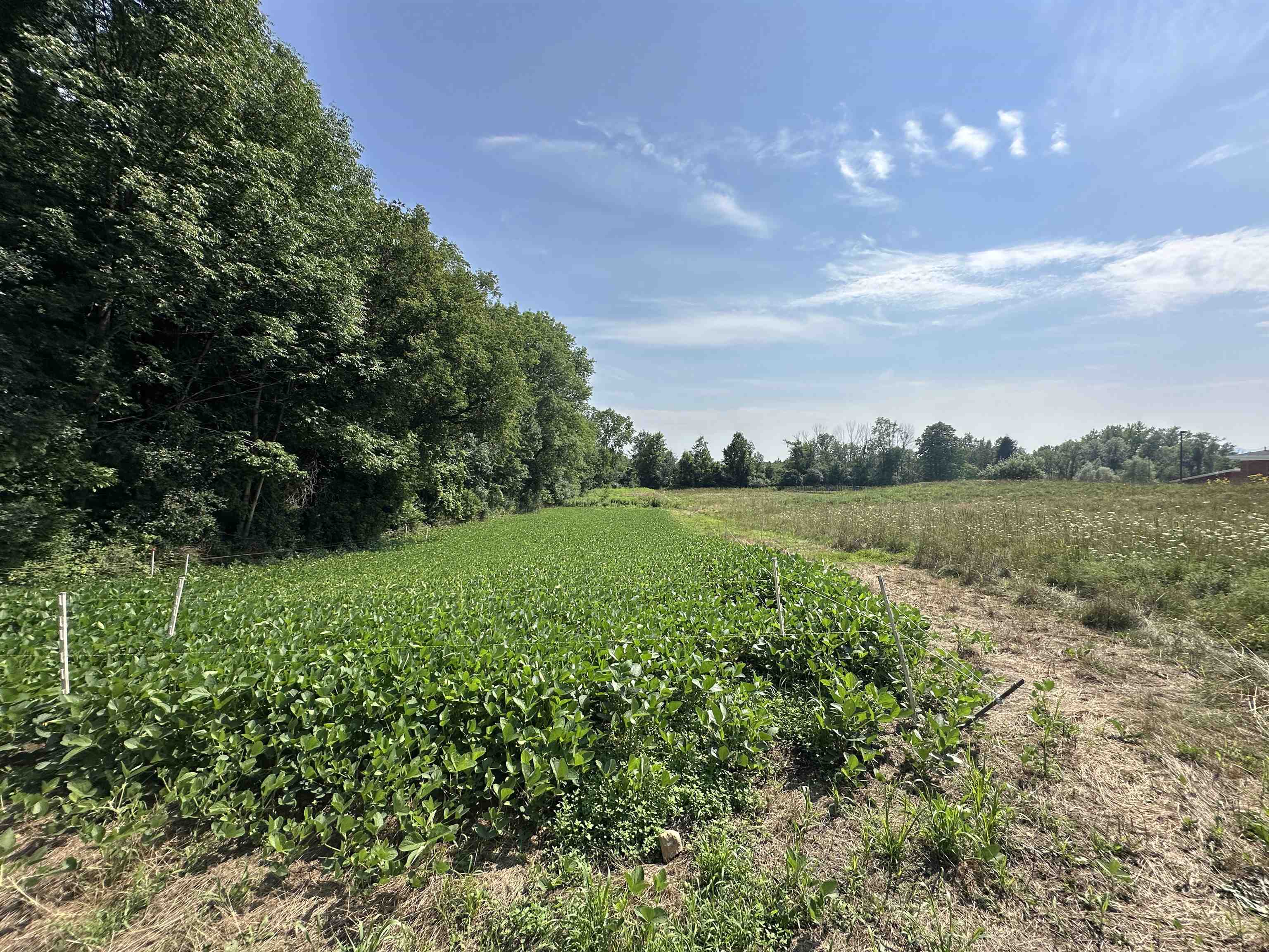220 Gloria Avenue Rutland, VT 05701 - Photo 7 of 9