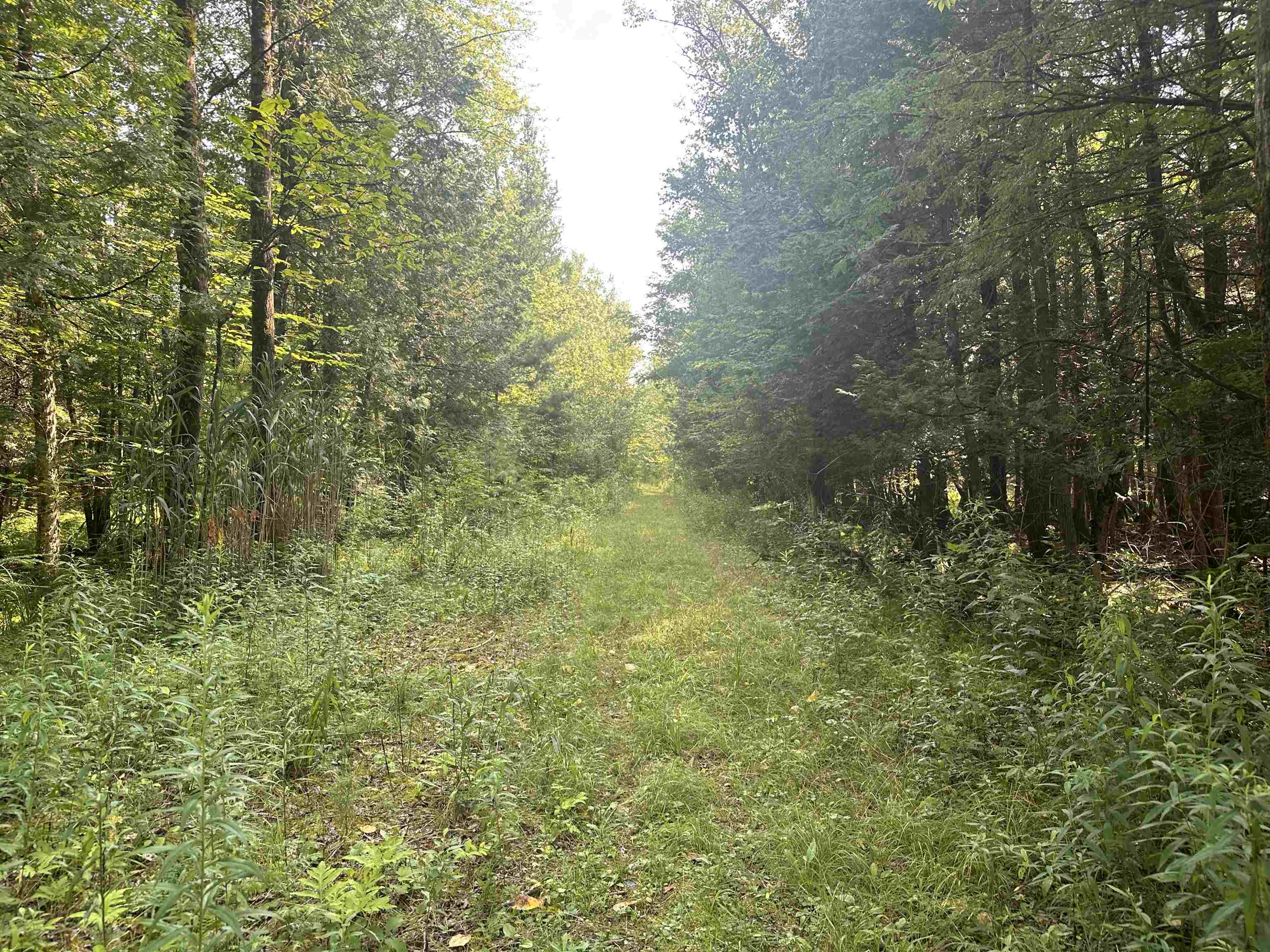 220 Gloria Avenue Rutland, VT 05701 - Photo 9 of 9