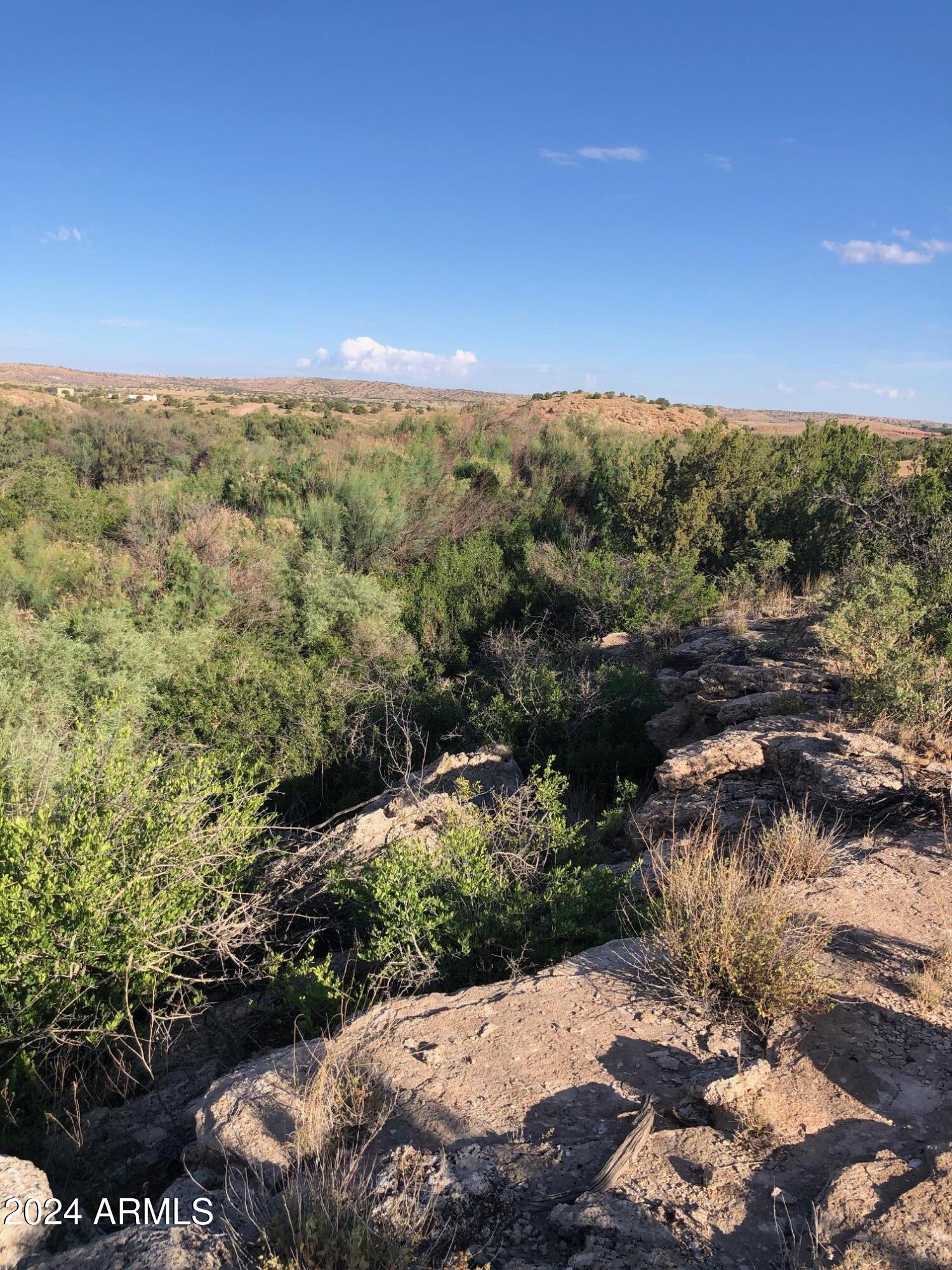 100 River Springs Ranch, Unit 100 St. Johns, AZ 85936 - Photo 4 of 11 a view of a city with lush green forest