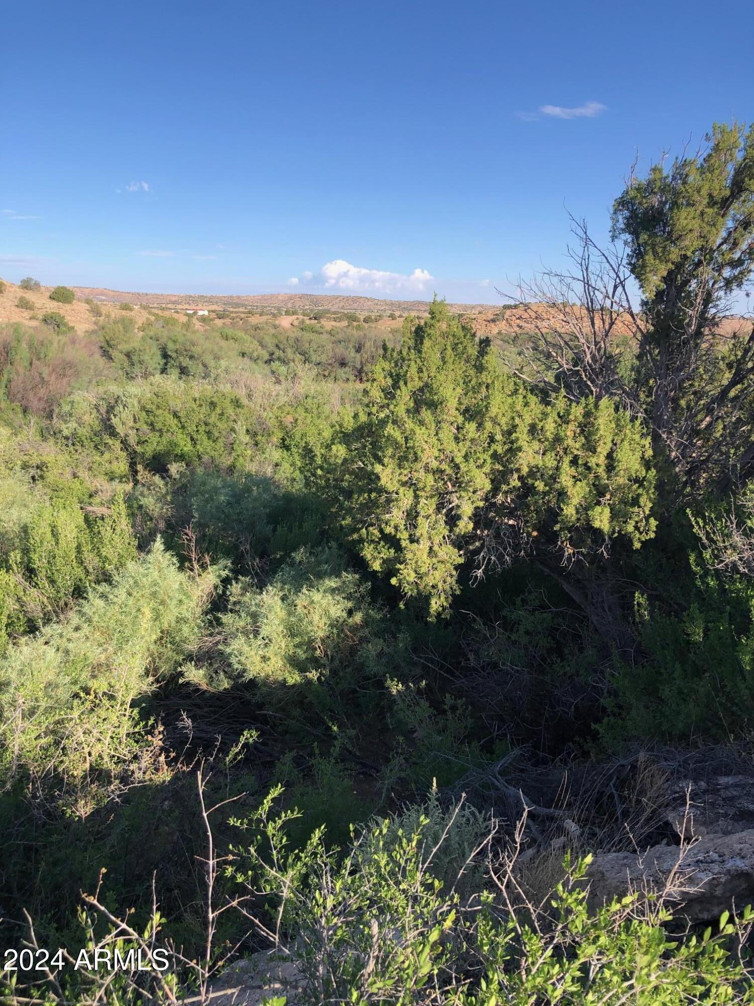 100 River Springs Ranch, Unit 100 St. Johns, AZ 85936 - Photo 5 of 11 a view of a yard