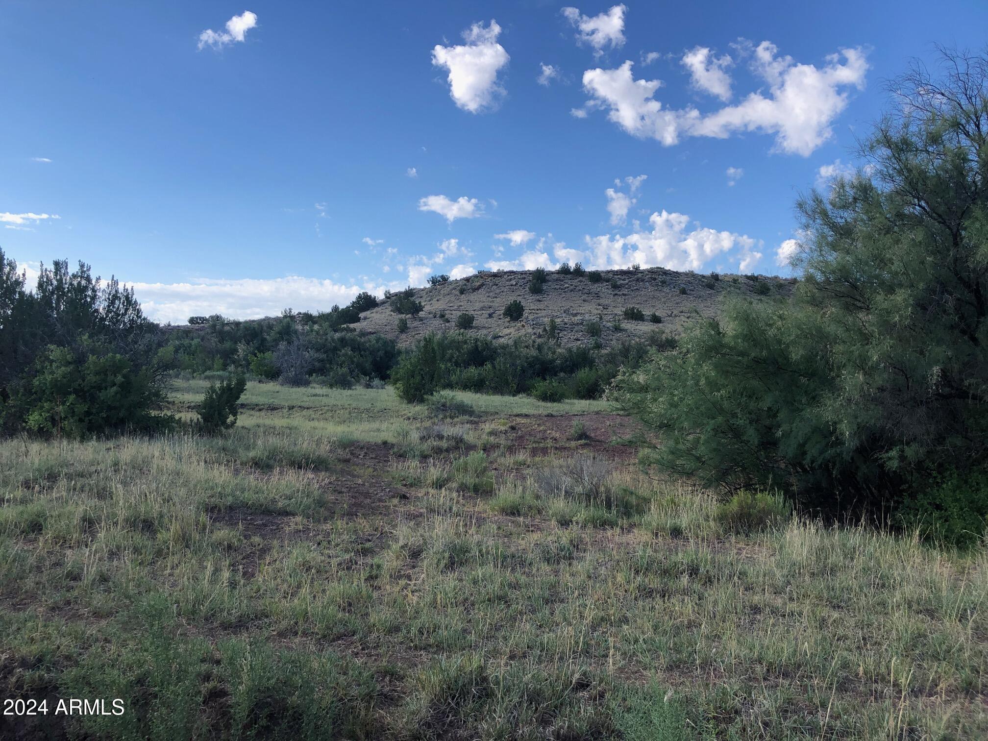 100 River Springs Ranch, Unit 100 St. Johns, AZ 85936 - Photo 6 of 11 a view of a big yard with lots of green space and mountain view