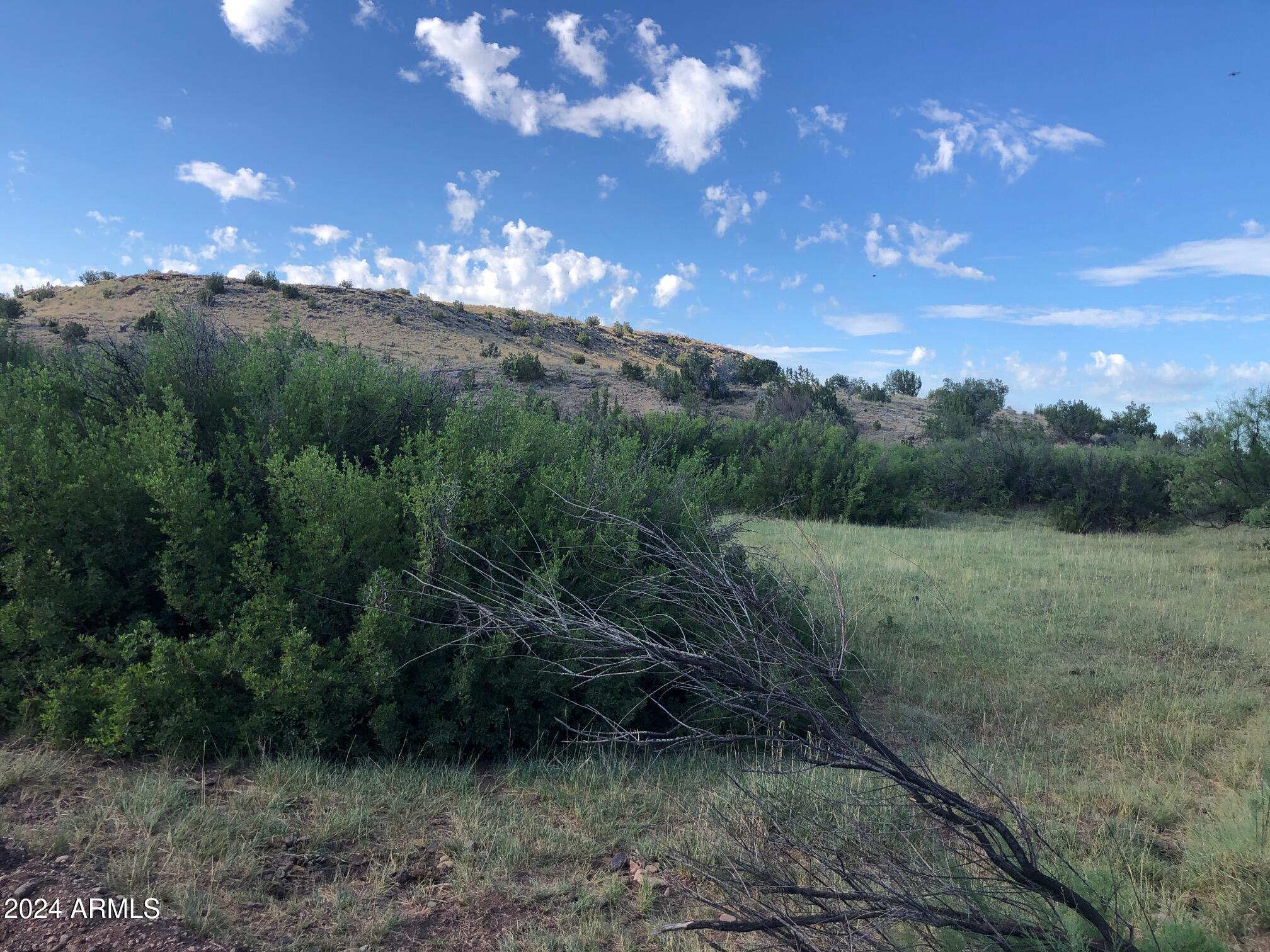 100 River Springs Ranch, Unit 100 St. Johns, AZ 85936 - Photo 7 of 11 a view of a big yard with lots of green space