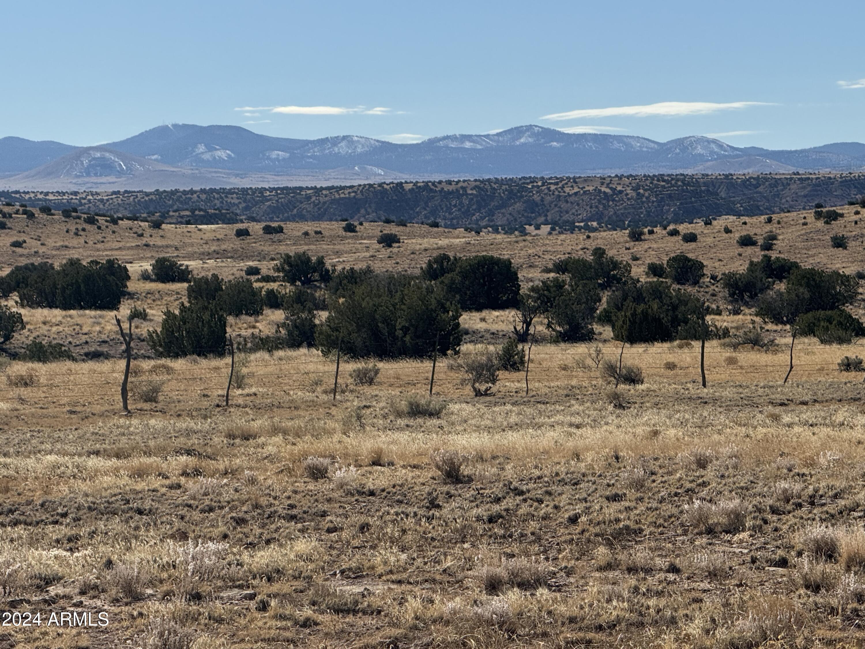 100 River Springs Ranch, Unit 100 St. Johns, AZ 85936 - Photo 9 of 11 a view of a lake with a mountain