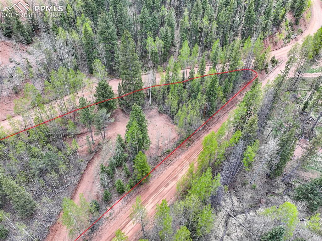 416 Willow Road Divide, CO 80814 - Photo 4 of 13 Property Lines are approximate and not a survey