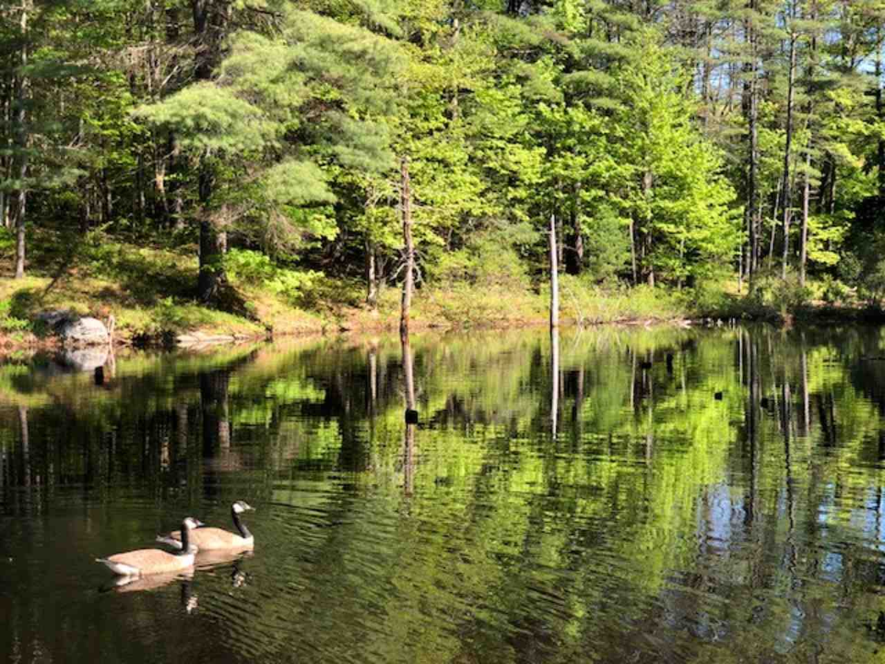 49 Tibbetts Hill Road Goffstown, NH 03045 - Photo 18 of 18 Gallery Image 18