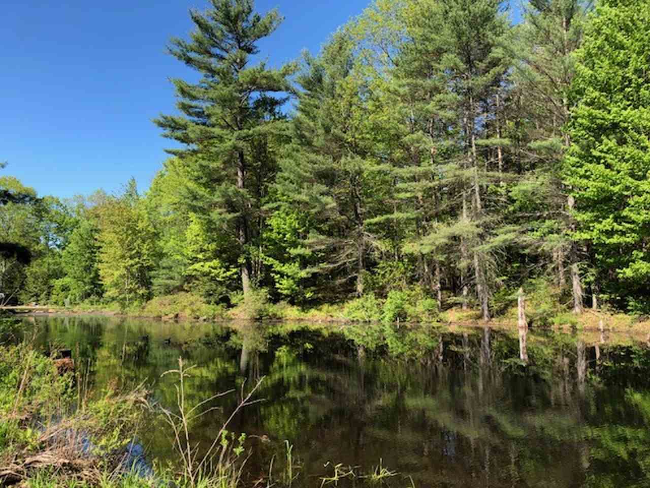 49 Tibbetts Hill Road Goffstown, NH 03045 - Photo 3 of 18 Gallery Image 3