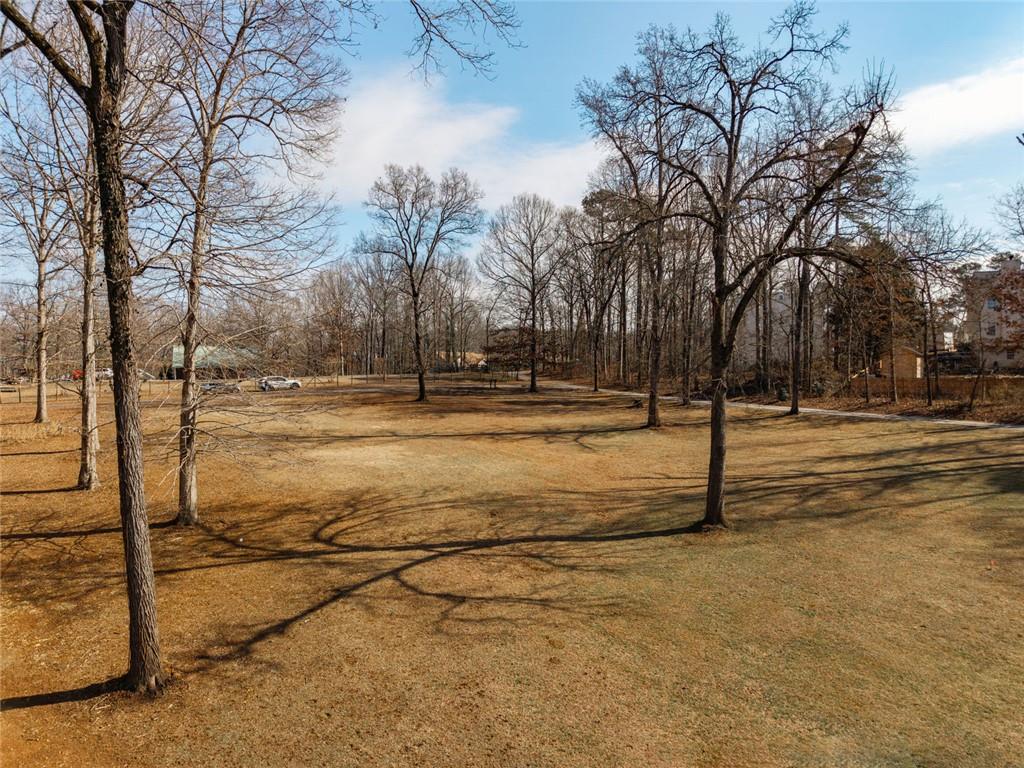 0 Pollys Bluff Cumming, GA 30028 - Photo 1 of 16 a view of yard with trees