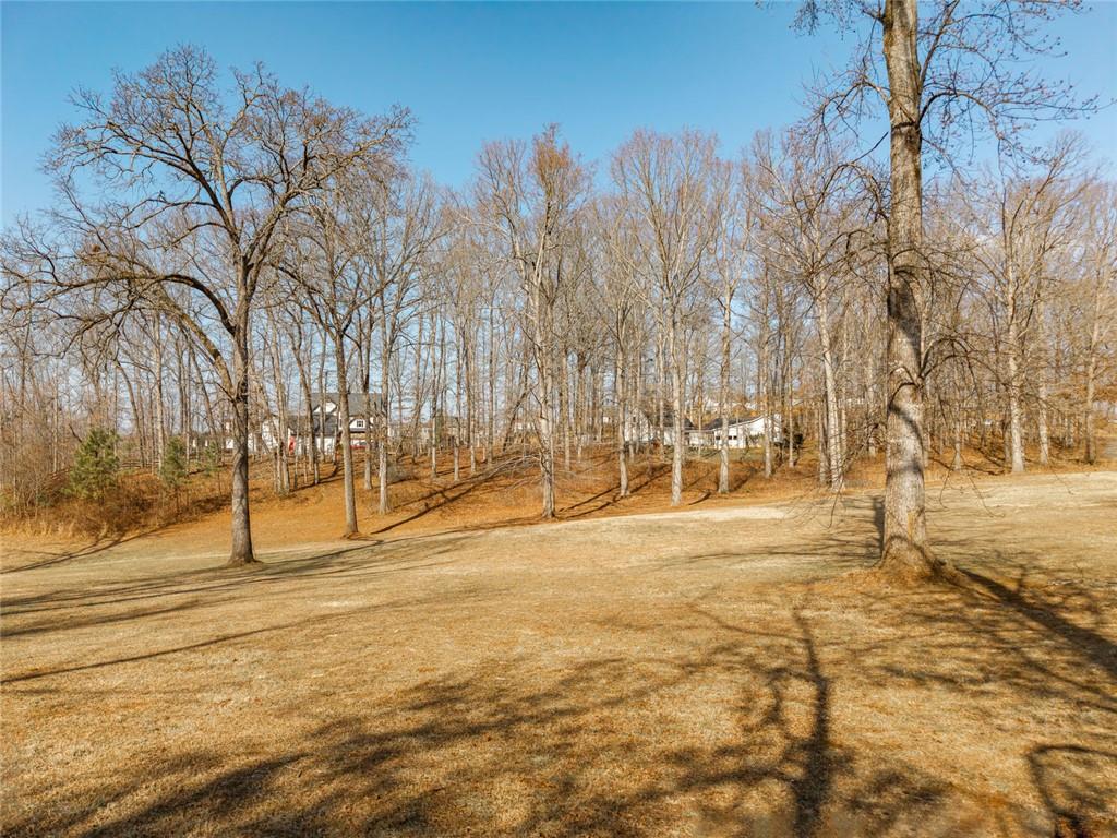 0 Pollys Bluff Cumming, GA 30028 - Photo 15 of 16 a view of yard with trees