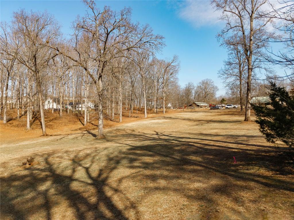 0 Pollys Bluff Cumming, GA 30028 - Photo 16 of 16 a view of yard with trees