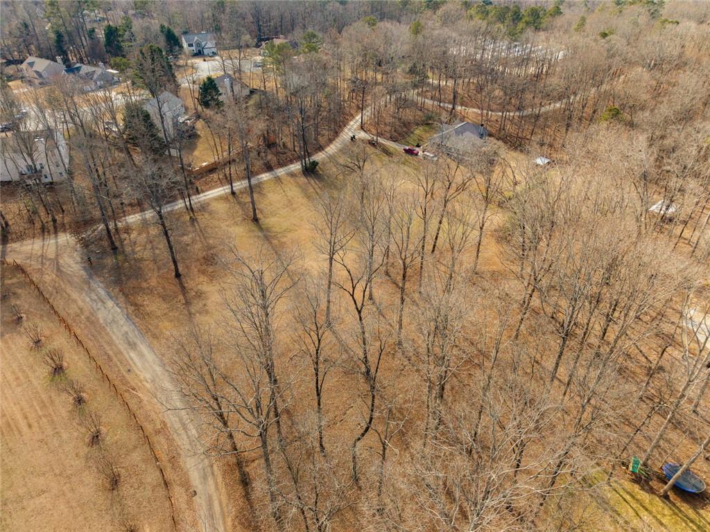 0 Pollys Bluff Cumming, GA 30028 - Photo 10 of 16 a picture of a tree