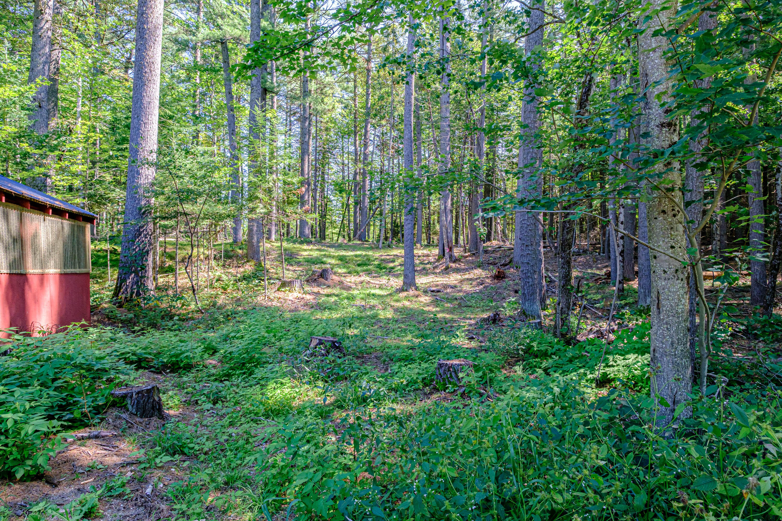 349 East Andover Road East Andover, ME 04226 - Photo 6 of 35 20230831gp-62005