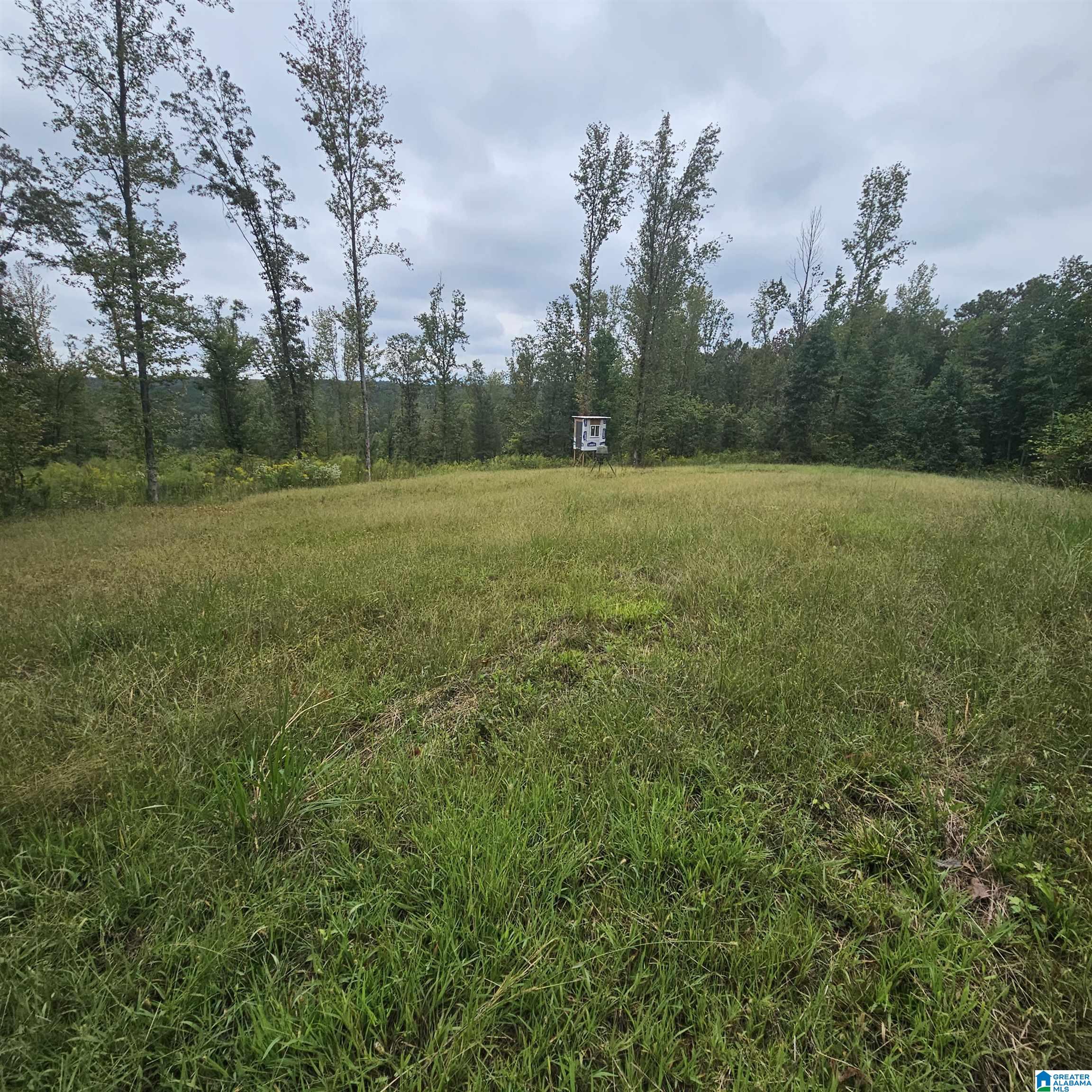 1395 Camp Creek Road Cropwell, AL 35054 - Photo 2 of 16