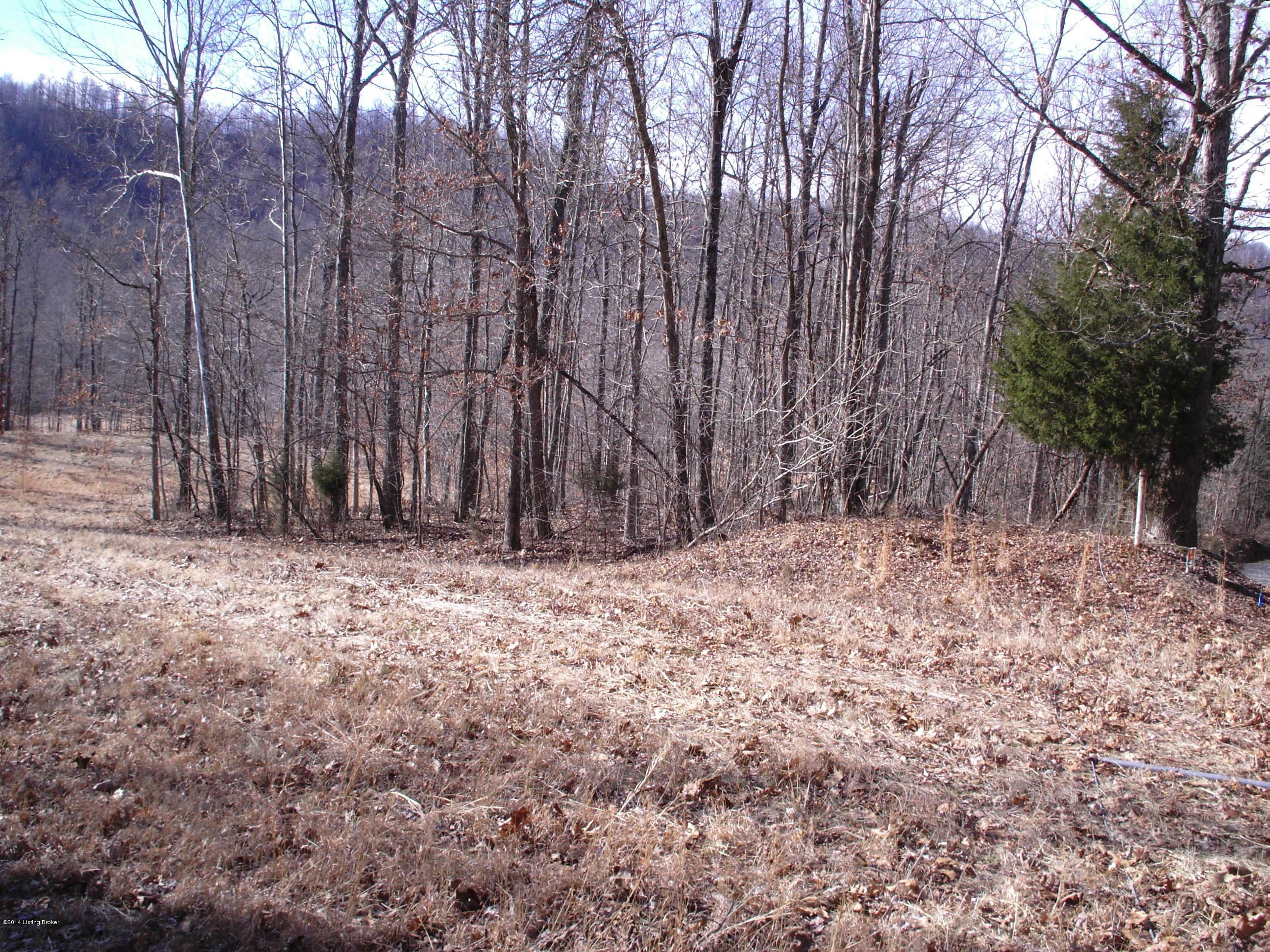 981 Leonard Hall Road New Hope, KY 40052 - Photo 4 of 4 981_Leonard_Hall_Road_007