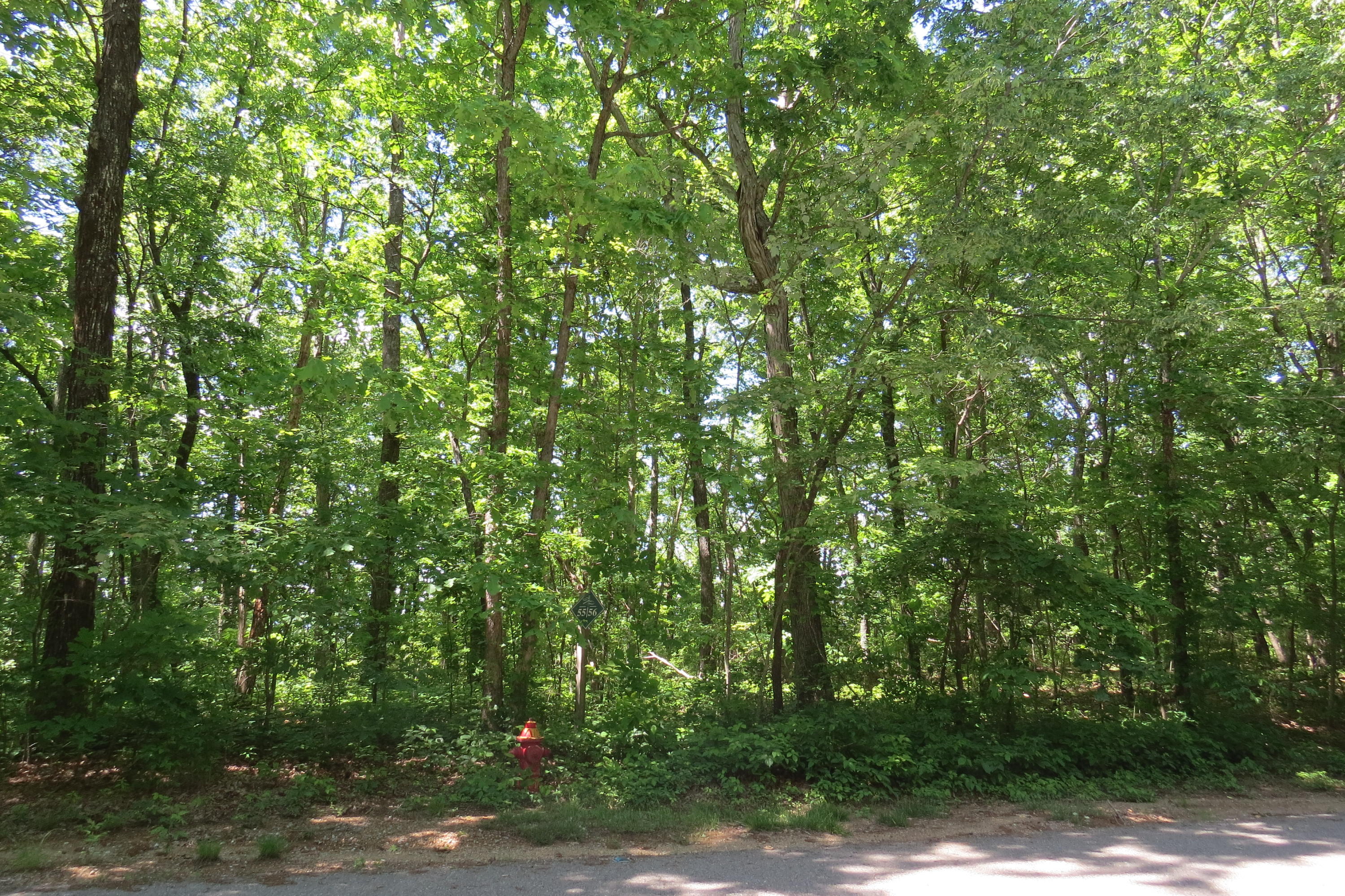 0 Shivas Crest Rising Fawn, GA 30738 - Photo 3 of 9 Lot #55