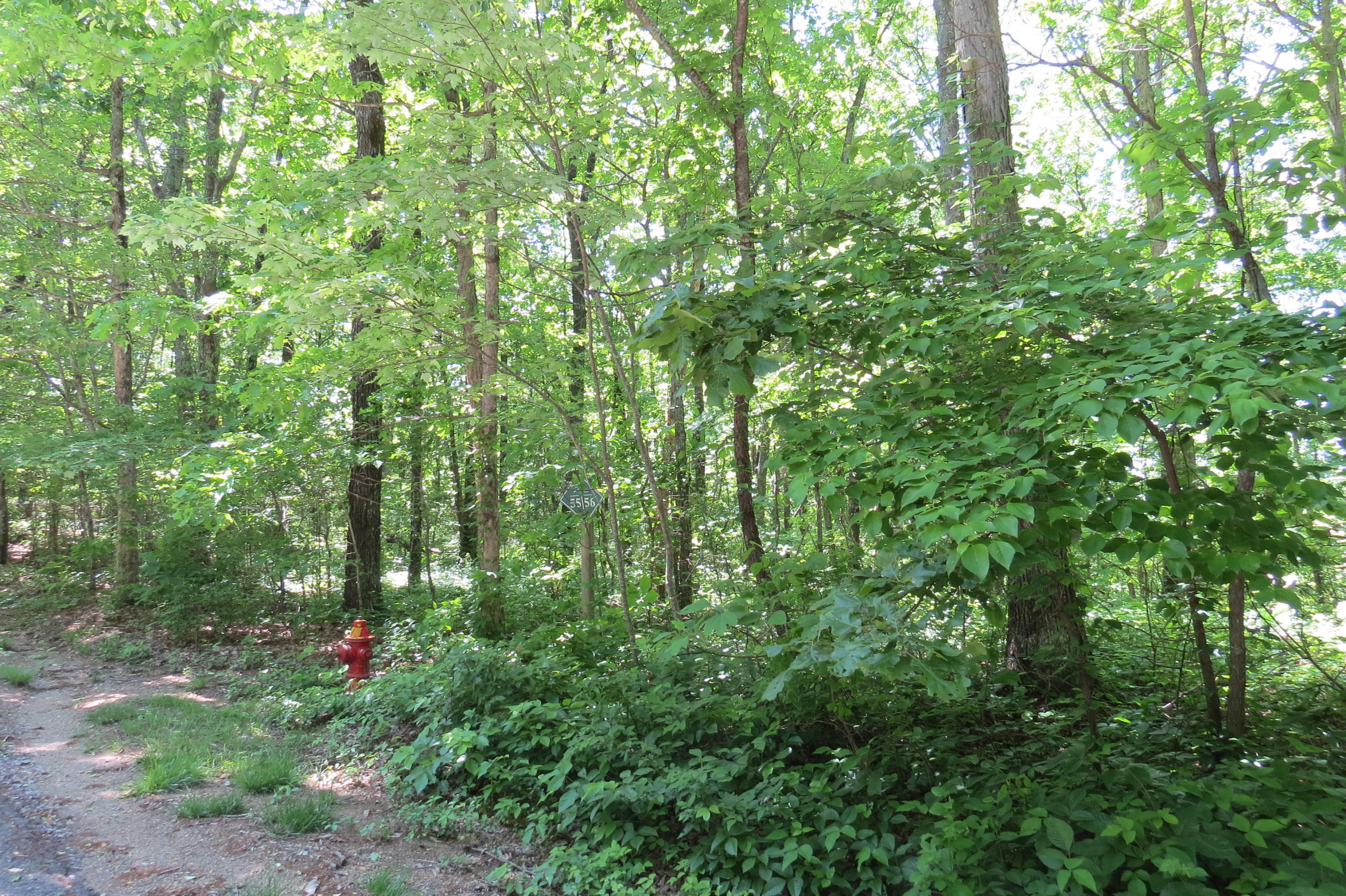 0 Shivas Crest Rising Fawn, GA 30738 - Photo 4 of 9 Lot #55