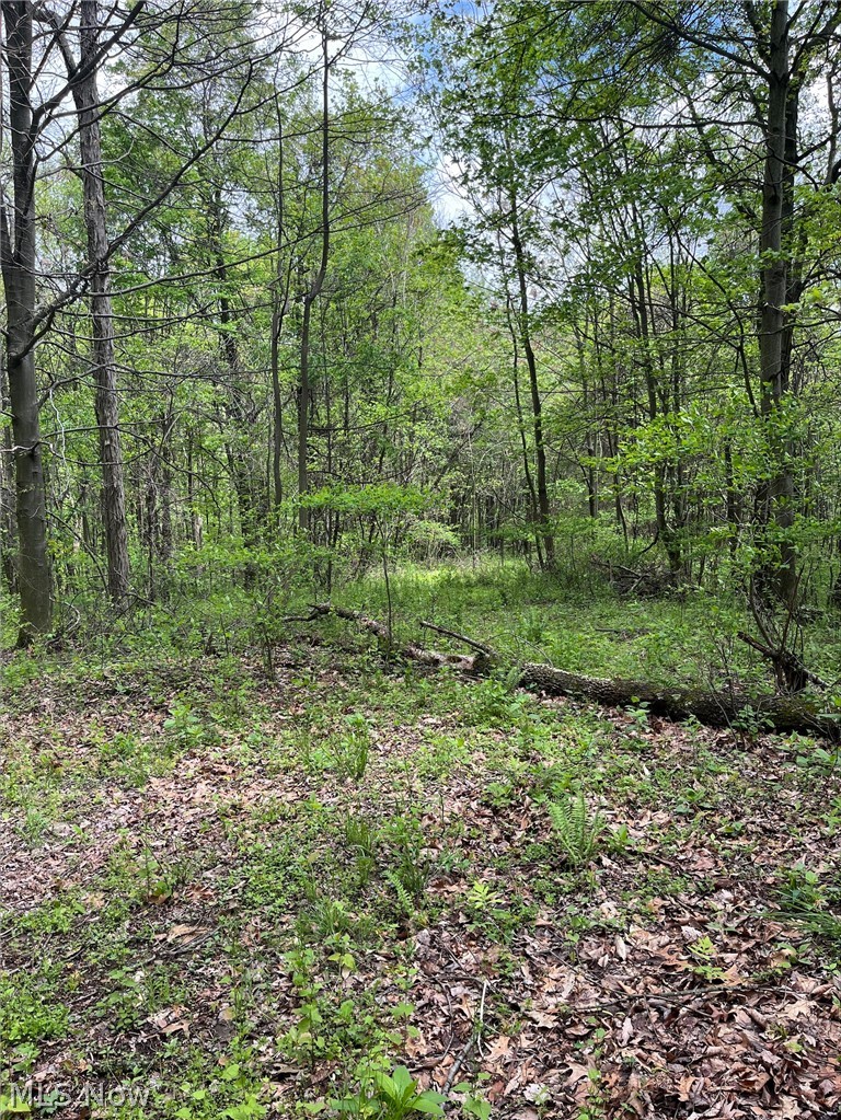 Sandy Ridge Road Tippecanoe, OH 44699 - Photo 3 of 21