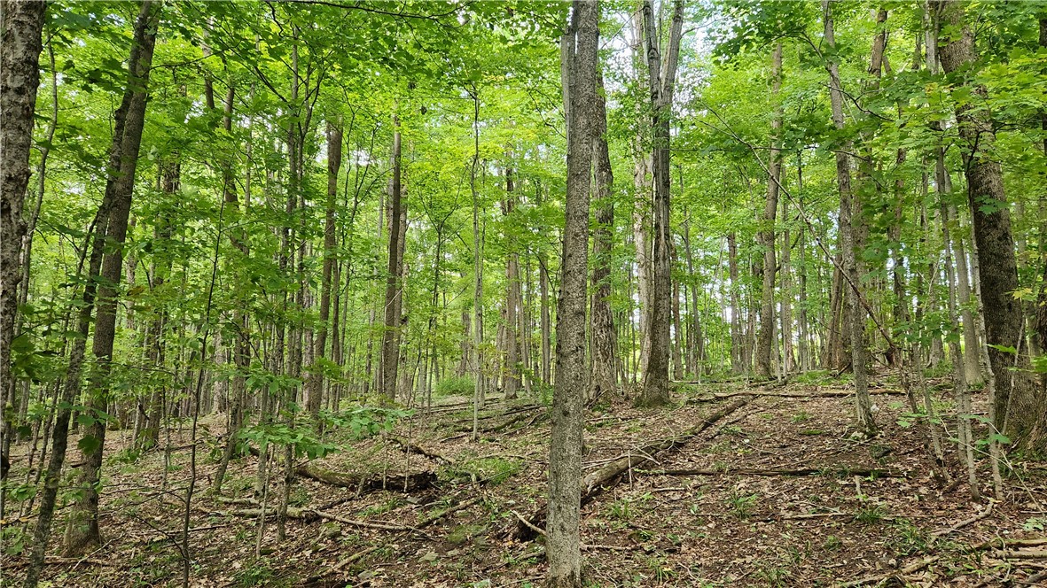 Humphrey Road Great Valley, NY 14741 - Photo 6 of 45