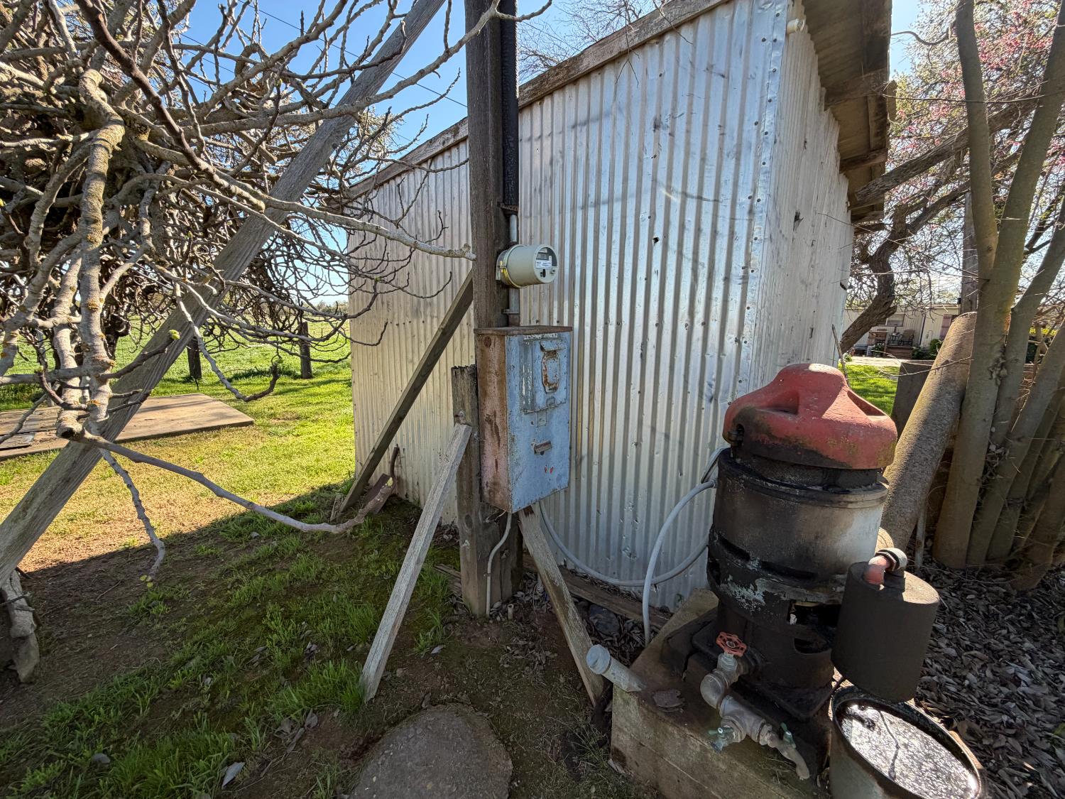 8960 Dillard Road Wilton, CA 95693 - Photo 22 of 29 a backyard of a house with wooden fence and large trees