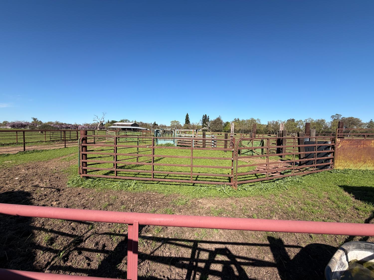 8960 Dillard Road Wilton, CA 95693 - Photo 24 of 29