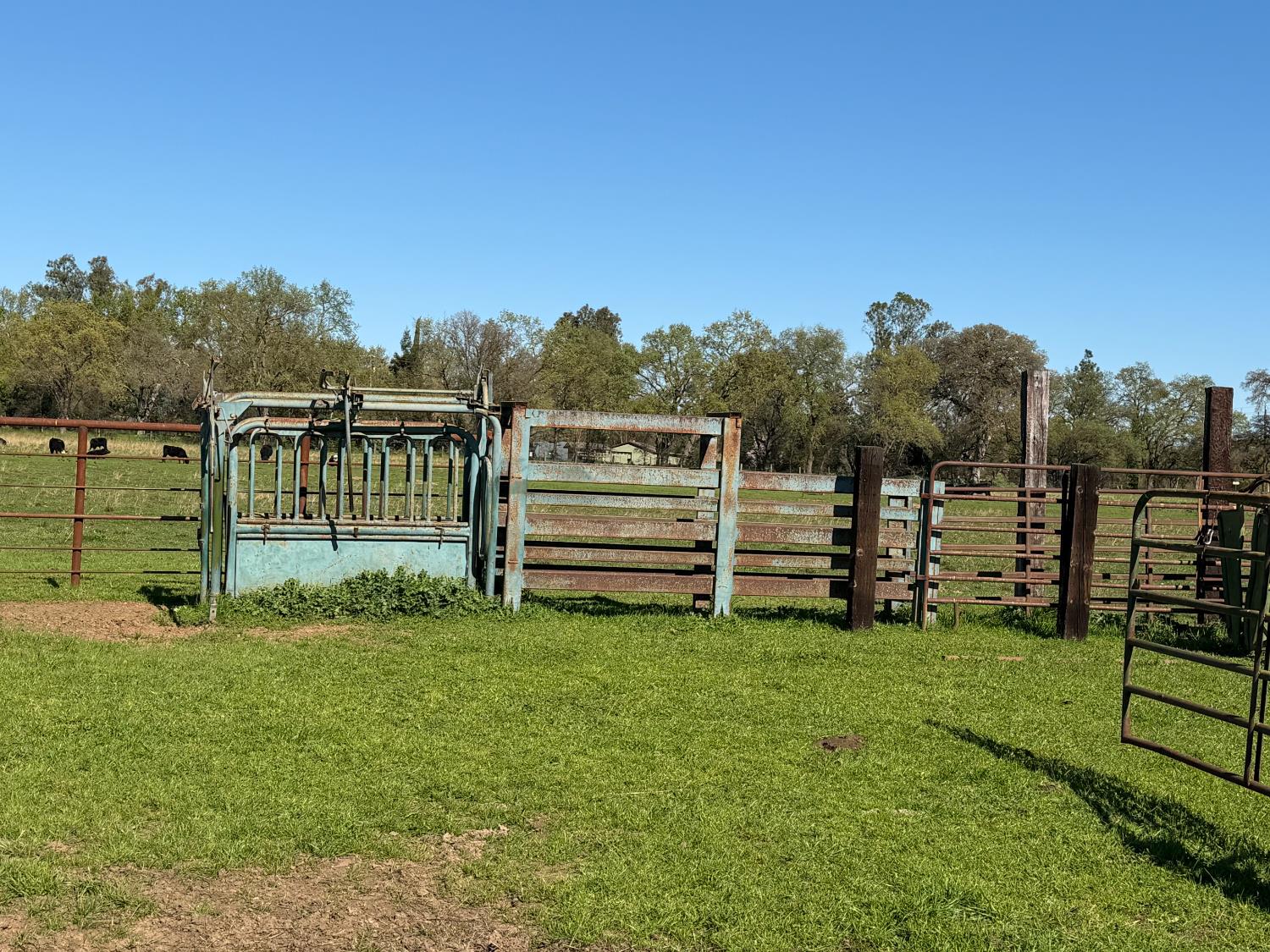 8960 Dillard Road Wilton, CA 95693 - Photo 26 of 29 a view of a park with large trees