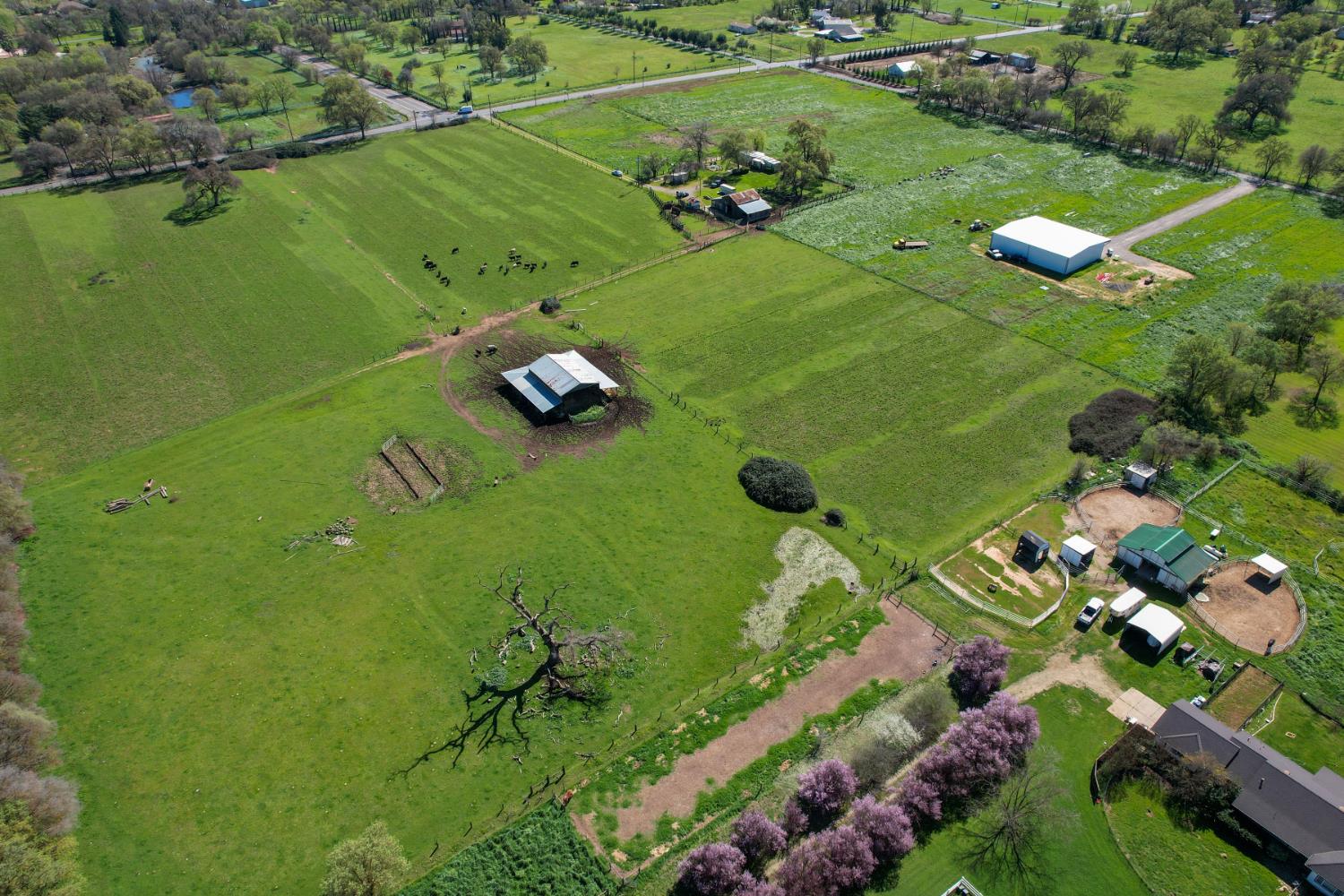 8960 Dillard Road Wilton, CA 95693 - Photo 4 of 29 a view of a golf course with a lake