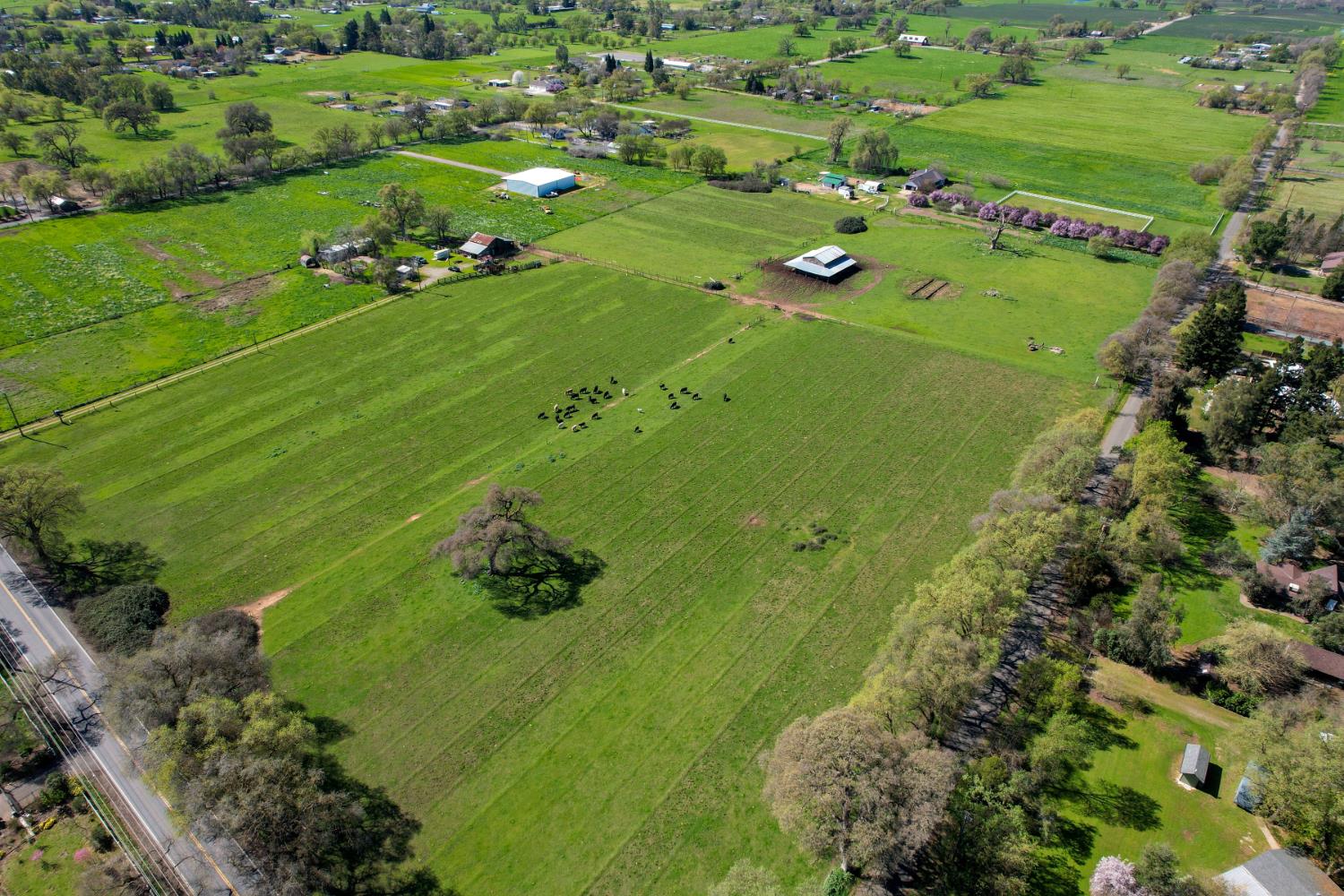 8960 Dillard Road Wilton, CA 95693 - Photo 10 of 29 a yard with lots of green space