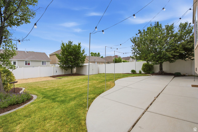 2223 North Pointe Meadow Loop Lehi, UT 84048 - Photo 41 of 56 Expansive backyard featuring a large concrete patio, manicured lawn, and mature trees
