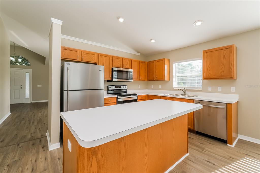 17326 Poppy Fields Lane Land O Lakes, FL 34638 - Photo 5 of 15 a kitchen with a refrigerator a counter top space and cabinets