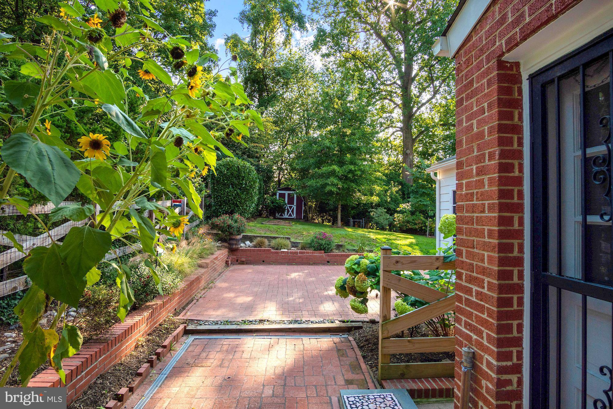 8811 Walnut Hill Road Chevy Chase, MD 20815 - Photo 33 of 34