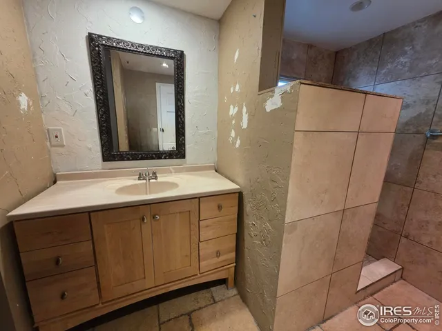 a bathroom with a sink a mirror and a shower