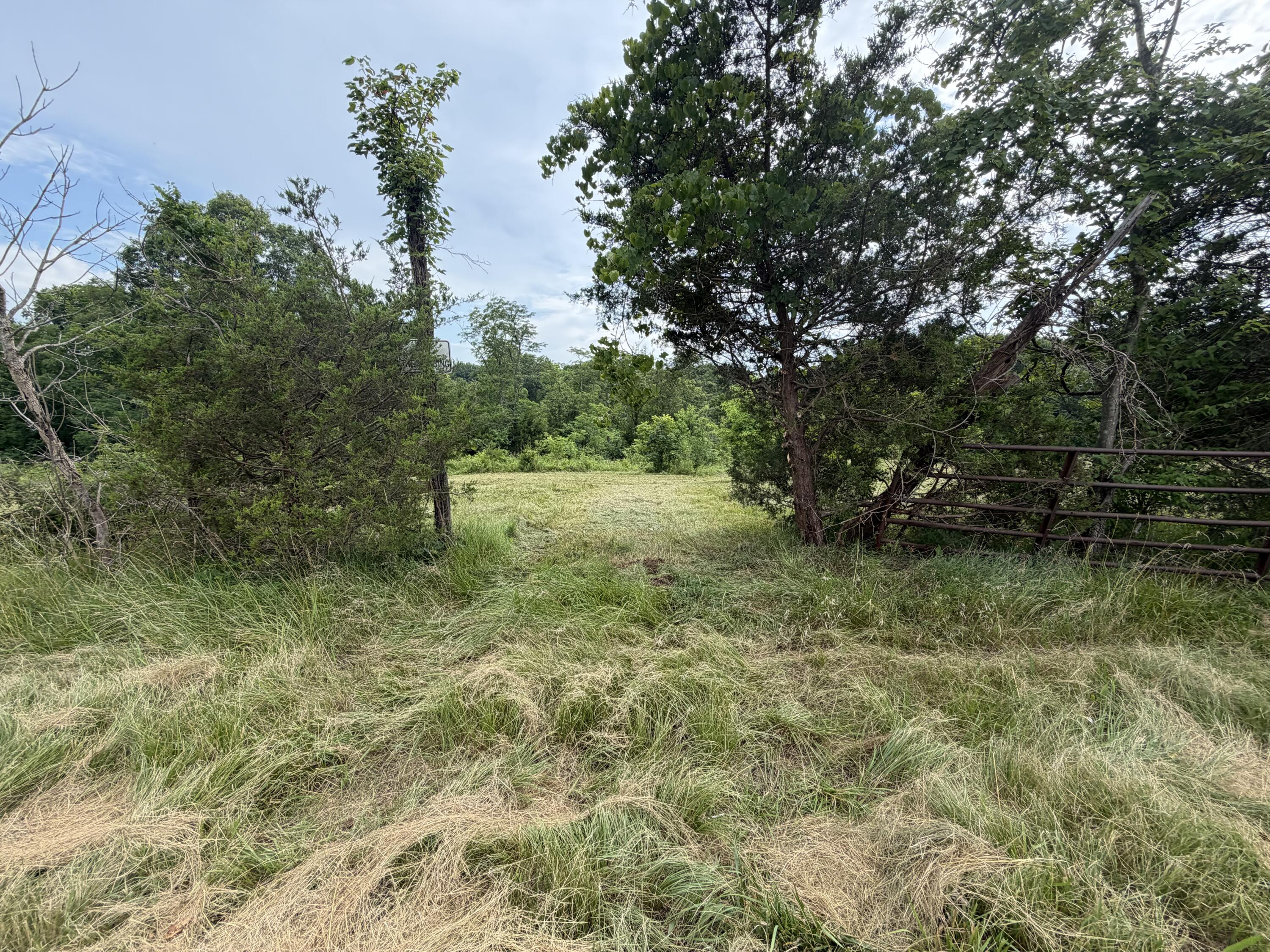 0 Swope Natlee Road Corinth, KY 41010 - Photo 2 of 16 IMG_4926