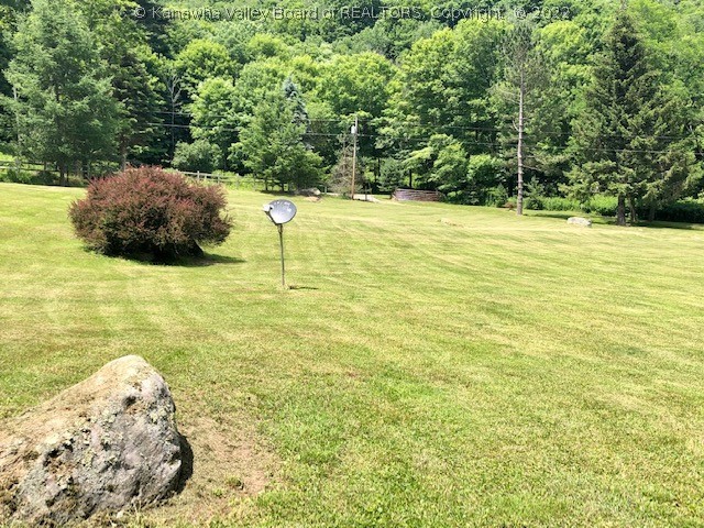 8062 Back Mountain Road Durbin, WV 26264 - Photo 4 of 50 Gallery Image 4