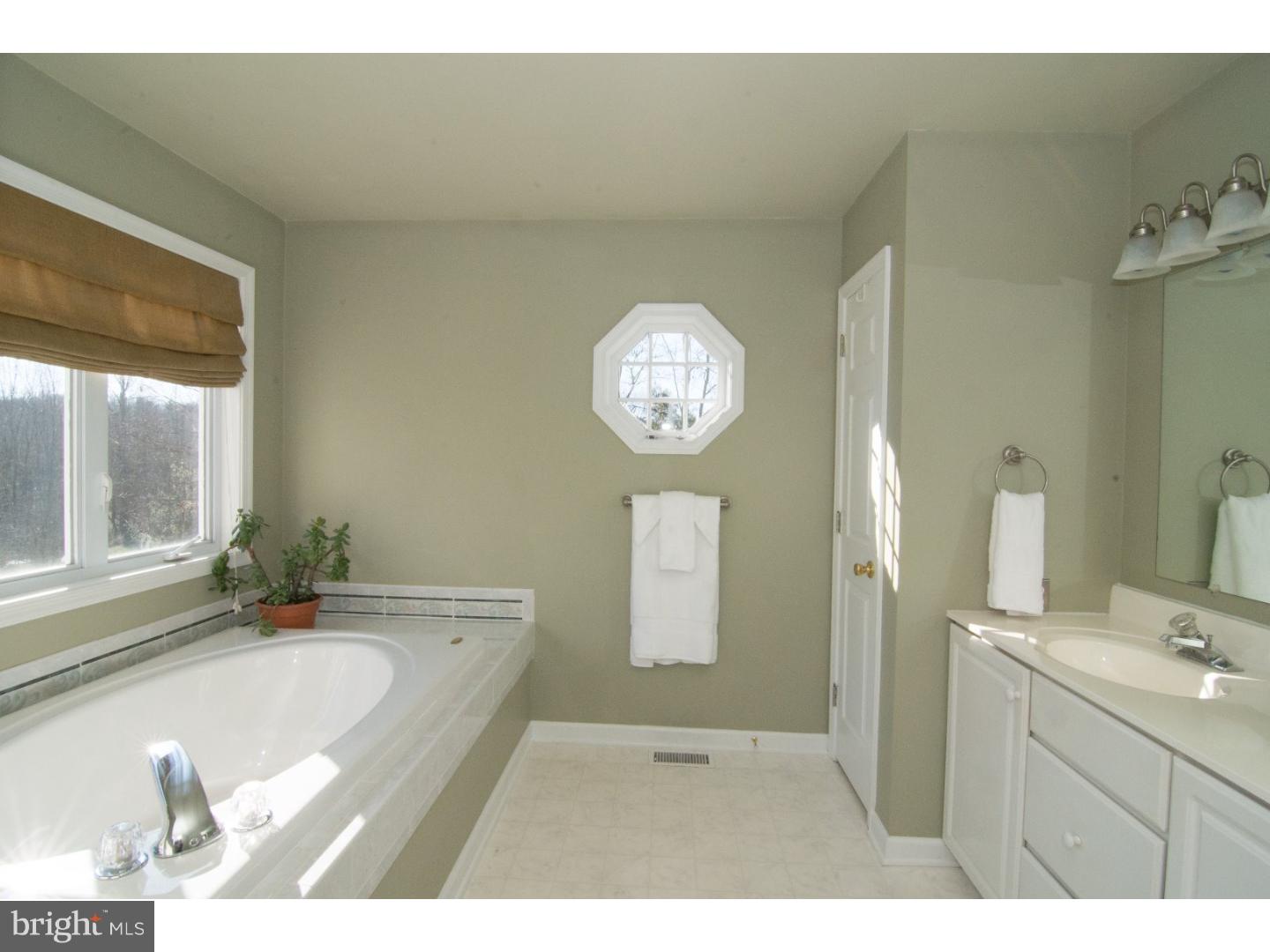 47 Spring Mt Road Schwenksville, PA 19473 - Photo 14 of 23 Master Bathroom