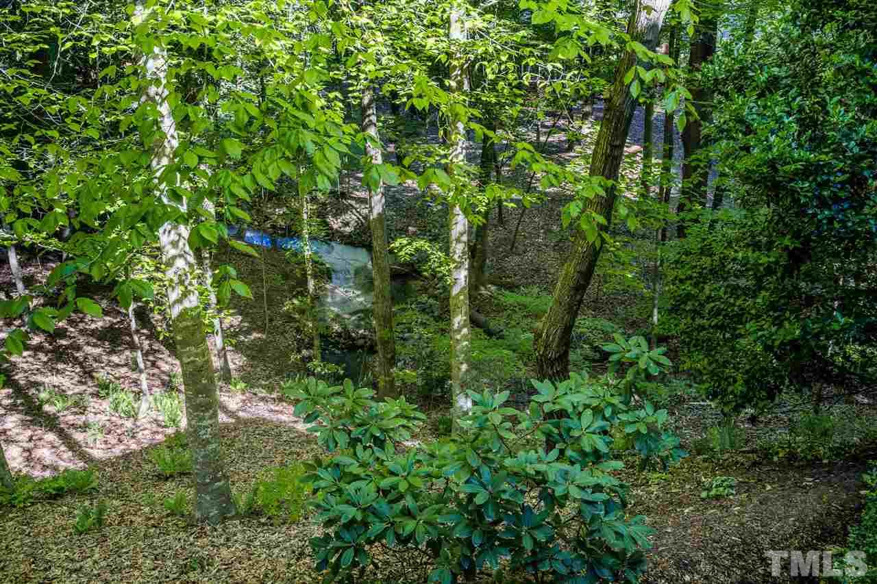 10620 Cahill Road Raleigh, NC 27614 - Photo 5 of 27 a view of a lush green forest with lots of trees